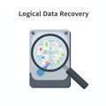 Logical Data Recovery